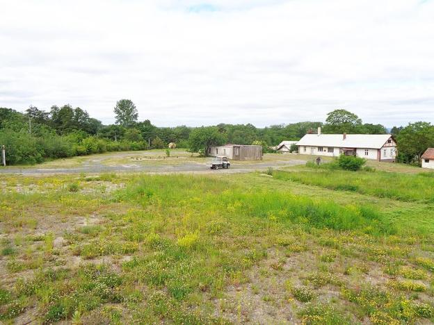 Prodej komerčního pozemku, Jesenice, Rekreační, 10738 m2