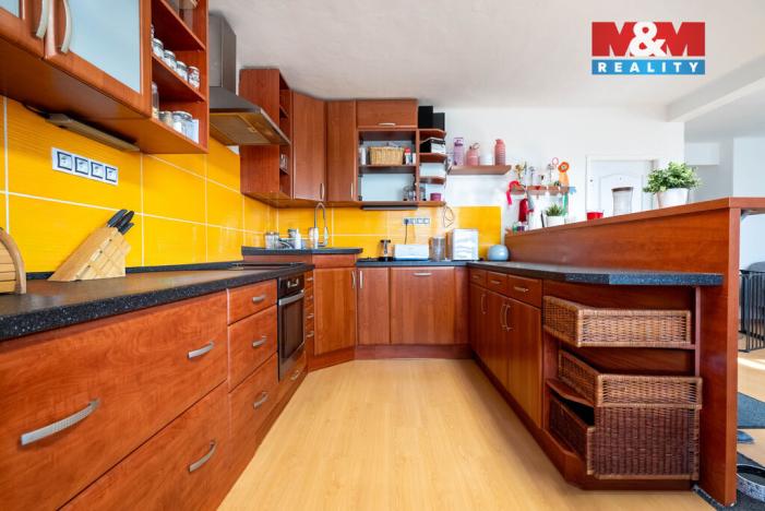 Prodej rodinného domu, Nechanice - Staré Nechanice, 236 m2