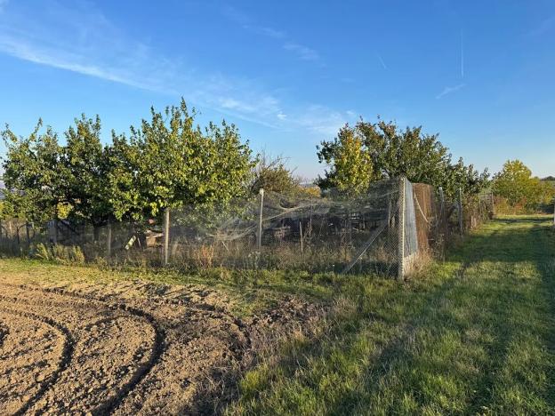 Prodej sadu/vinice, Blučina, 2677 m2