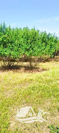 Prodej rodinného domu, Mogilishte, Bulharsko, 170 m2