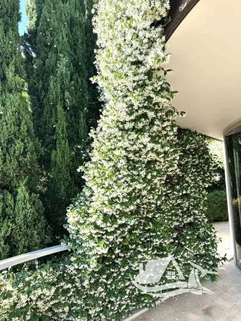 Prodej bytu 3+kk, Budva, Černá Hora, 150 m2