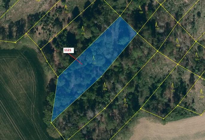 Dražba lesa, Náměšť nad Oslavou, 2998 m2