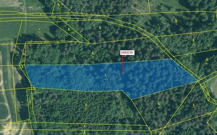 Dražba lesa, Stehlovice, 11078 m2