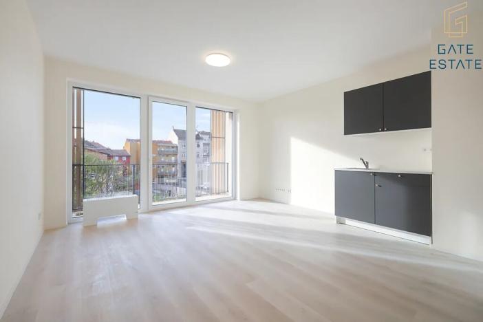 Pronájem bytu 1+kk, Brno, Dornych, 30 m2