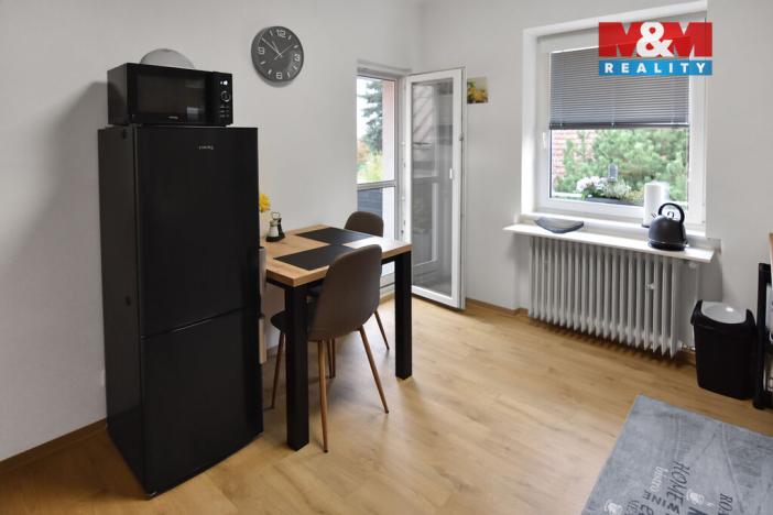 Pronájem bytu 1+kk, Plazy, 30 m2
