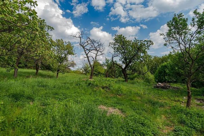 Prodej pozemku pro bydlení, Veliny, 3712 m2