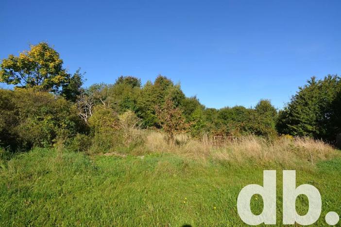 Prodej pozemku pro bydlení, Toužim, 8027 m2