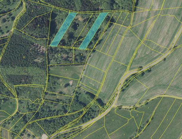 Prodej louky, Nový Hrádek, 2887 m2