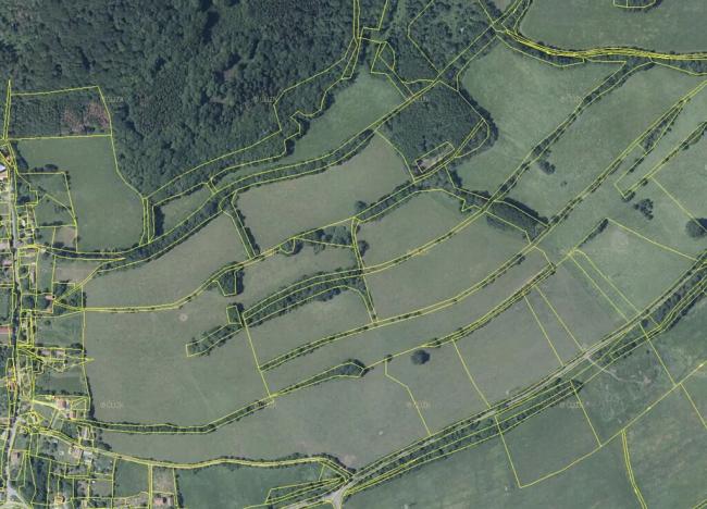 Prodej louky, Kozly, 10043 m2