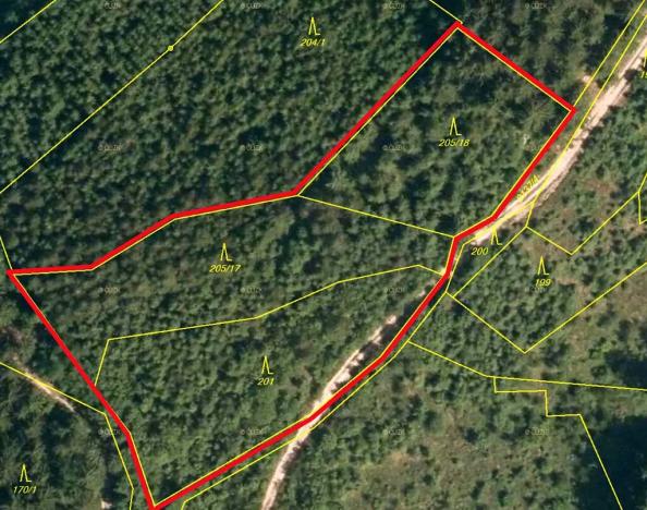 Prodej lesa, Lhota u Vsetína, 5837 m2