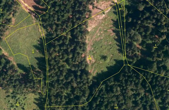 Prodej lesa, Lhota u Vsetína, 16820 m2