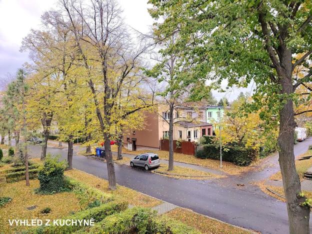 Prodej bytu 2+1, Čelákovice, V Prokopě, 66 m2