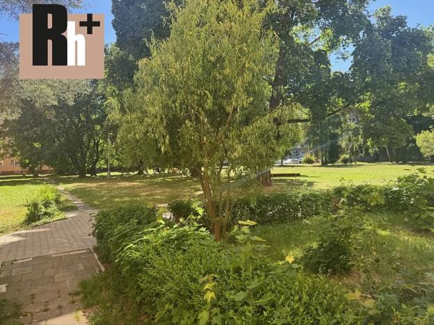 Pronájem bytu 2+1, Ostrava, Čkalovova, 54 m2