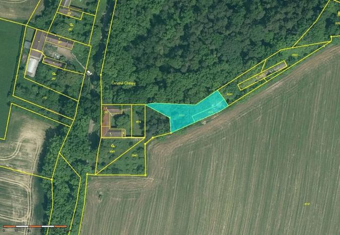 Prodej pozemku, Číčenice, 816 m2