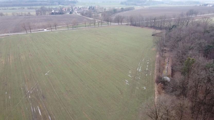 Prodej pozemku, Číčenice, 816 m2