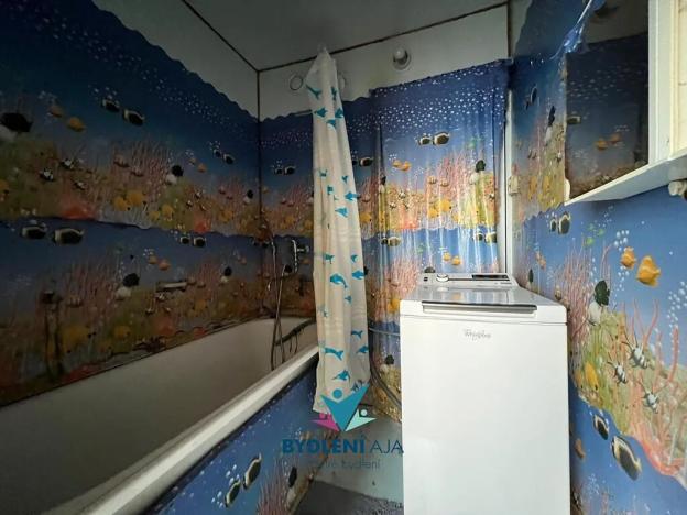 Pronájem bytu 2+1, Krupka, Karla Čapka, 62 m2