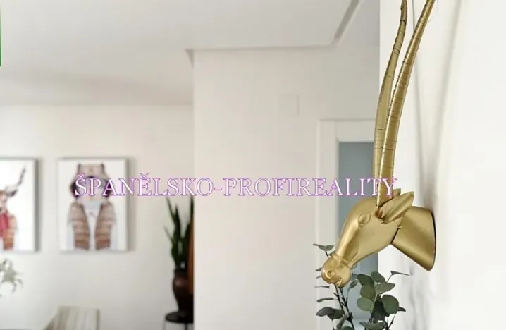 Prodej vily, Torrevieja, Španělsko, 100 m2