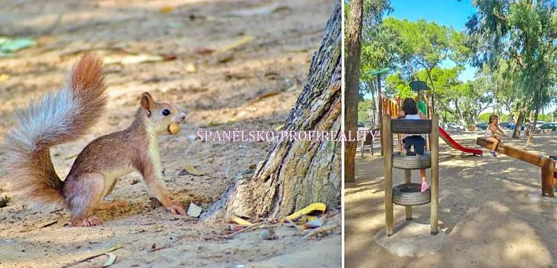 Prodej bytu 2+kk, Guardamar del Segura, Španělsko, 50 m2