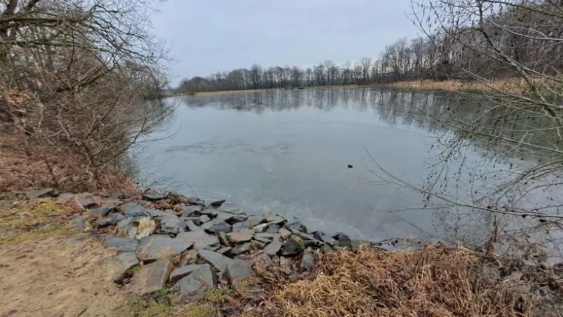 Prodej rybníku, Ostrava, 13195 m2