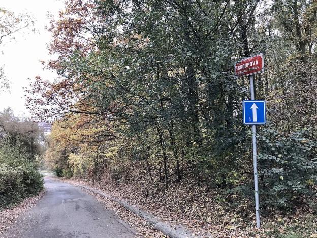 Pronájem bytu 2+kk, Praha - Smíchov, Kroupova, 59 m2