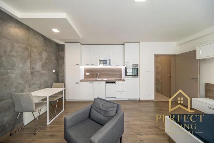 Pronájem bytu 1+kk, Praha - Vinohrady, Lucemburská, 31 m2