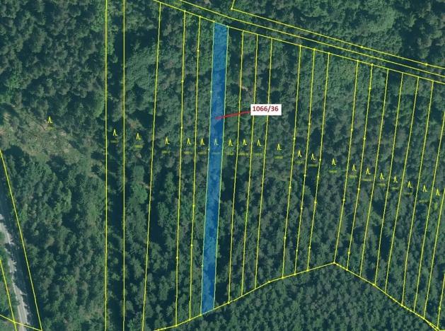 Dražba lesa, Stehlovice, 1983 m2