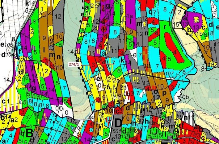 Dražba lesa, Psárov, 2949 m2