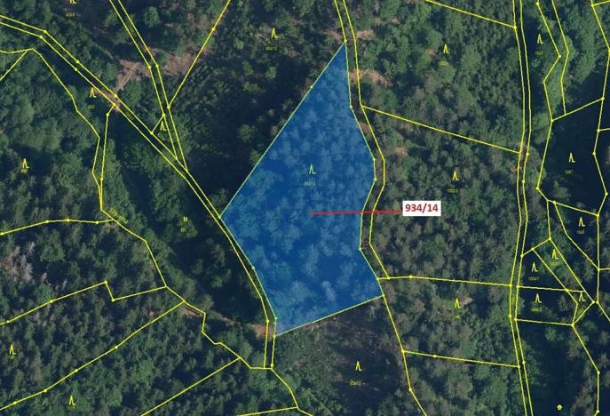 Dražba lesa, Jílové u Držkova, 5751 m2