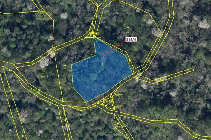 Dražba lesa, Zubrnice, 2875 m2