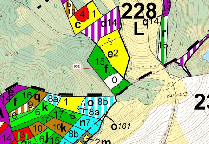 Dražba lesa, Rabí, 7006 m2