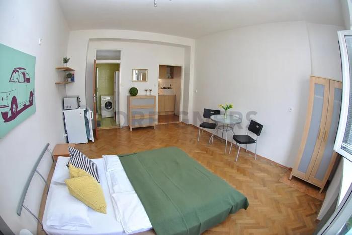 Pronájem bytu 1+kk, Brno, Cihlářská, 35 m2