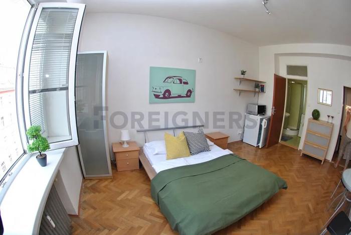 Pronájem bytu 1+kk, Brno, Cihlářská, 35 m2