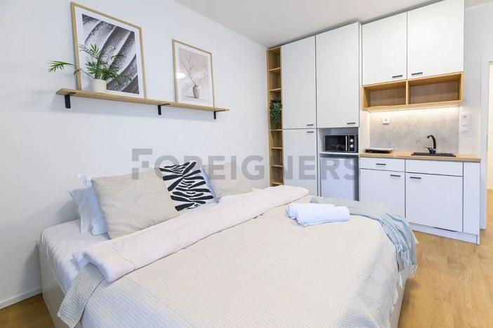 Pronájem bytu 1+kk, Brno, Cejl, 30 m2