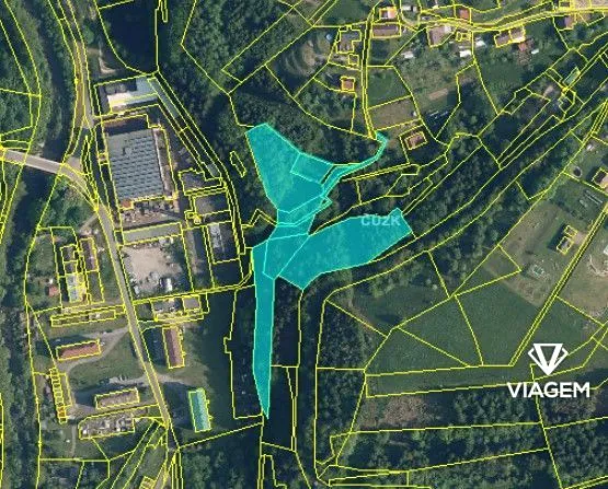 Prodej lesa, Velké Hamry, 9968 m2