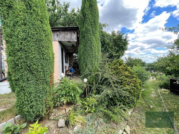 Prodej zahrady, Plzeň, Sluneční, 700 m2