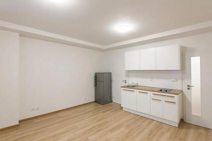 Pronájem bytu 1+kk, Praha - Bubeneč, U zeměpisného ústavu, 26 m2