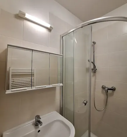 Pronájem bytu 1+kk, Praha - Bubeneč, U zeměpisného ústavu, 26 m2