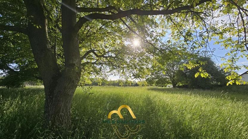 Prodej výrobních prostor, Doubravička, 195 m2