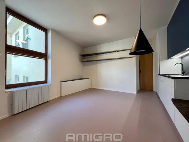 Pronájem bytu 1+kk, Brno, Peroutková, 25 m2