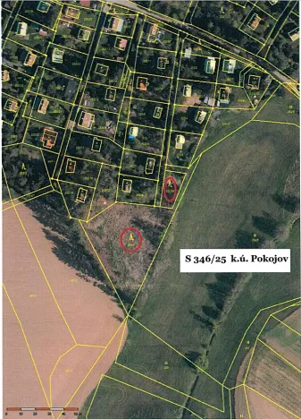 Prodej lesa, Pokojov, 3182 m2