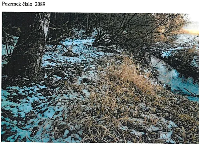 Prodej lesa, Tis, 906 m2