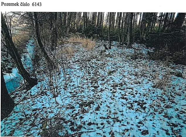 Prodej lesa, Tis, 906 m2