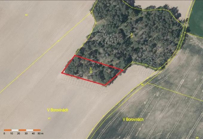 Prodej lesa, Nárameč, 1809 m2