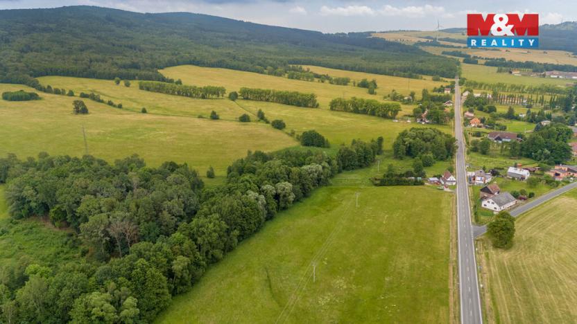 Prodej louky, Dětřichov, 4178 m2