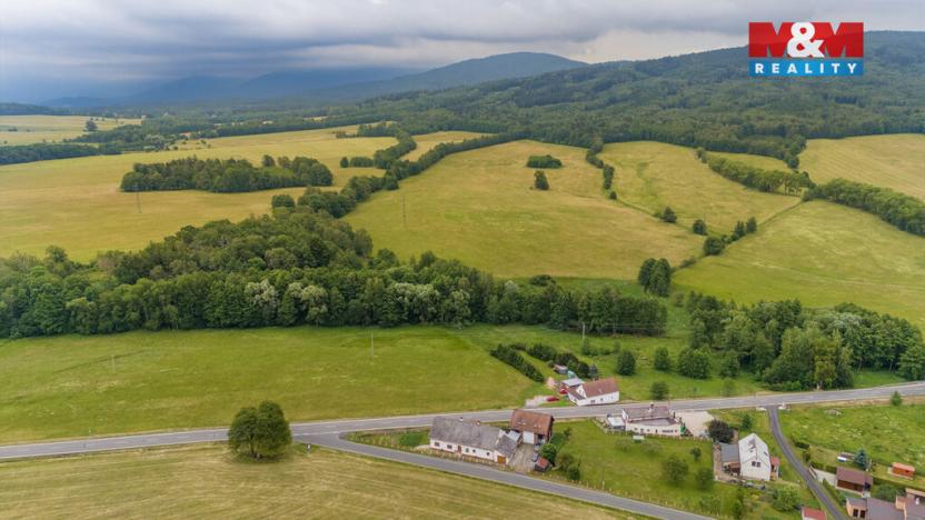 Prodej louky, Dětřichov, 4178 m2