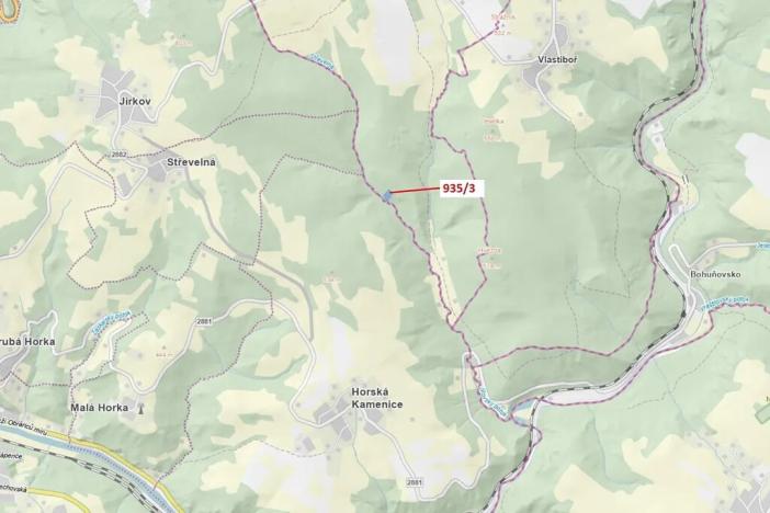 Dražba lesa, Jílové u Držkova, 2349 m2