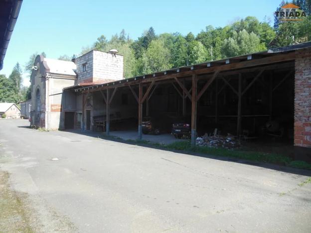 Prodej výrobních prostor, Stružinec, 10029 m2