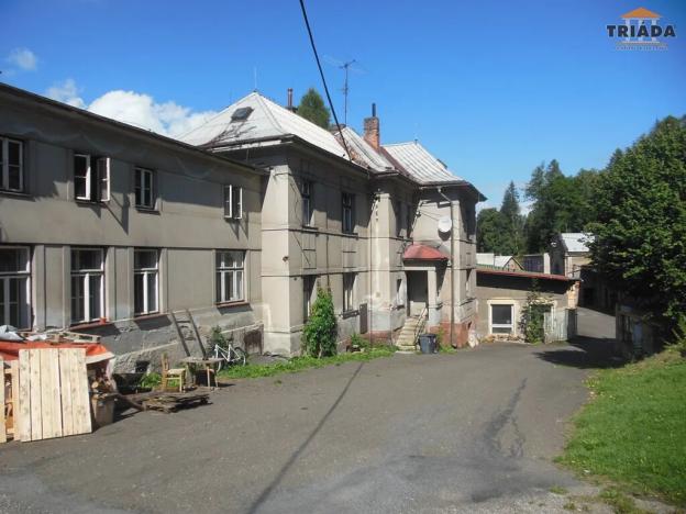 Prodej výrobních prostor, Stružinec, 10029 m2