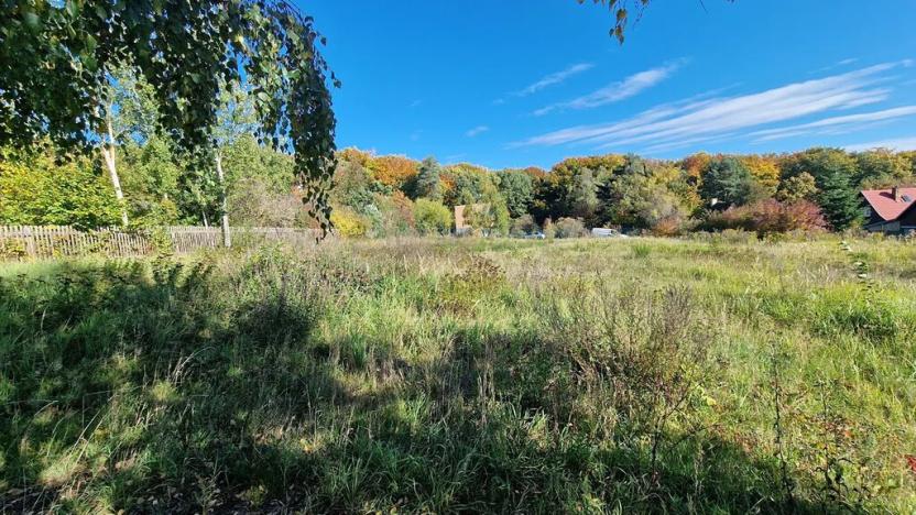 Prodej pozemku pro bydlení, Černé Voděrady, 1775 m2