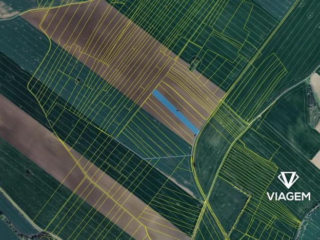 Prodej podílu pole, Vrdy, 3237 m2